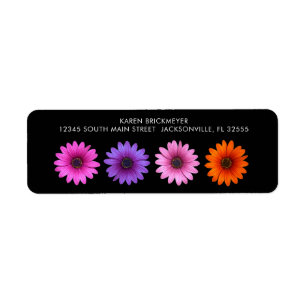 Colorée Gerber Daisy Retour Étiquette