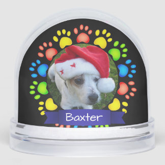 Colorful Christmas Paws Custom Pet Photo