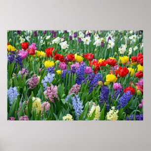 Colorful spring garden poster