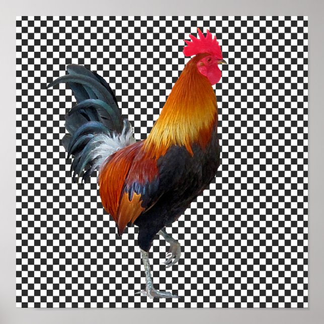 Colorful Strutting Rooster Poster (Devant)
