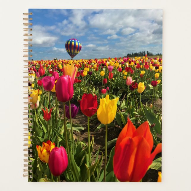 Colorful Tulip Field (Devant)