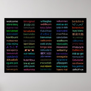 Colossal Welcome in 80 Languages Poster - 5 sizes!