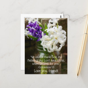 Colossiens 1:3 Carte postale Hyacinthe