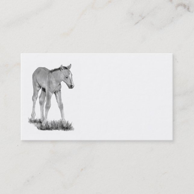 Colt, cheval : Art de crayon de carte de visite : (Devant)