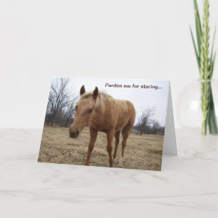 Colt curieux - Carte Anniversaire