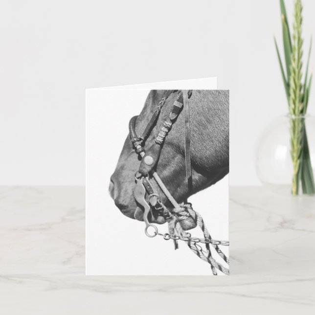Colt en Two Rein - Carte 10 x 14 cm (Devant)