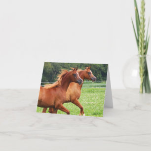 COLTS BOGO - Carte de note blanche