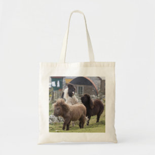 Colts de poney de Shetland jouant - sac utile