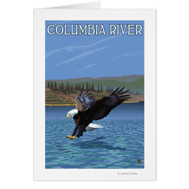 Columbia River, Washington Eagle Diving (Devant)