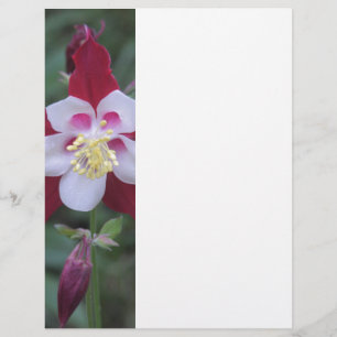 Columbine