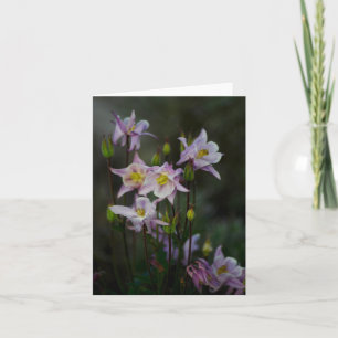 Columbine fleurit la carte de note