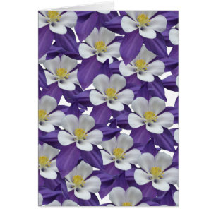 Columbine Purple et White Flower Card