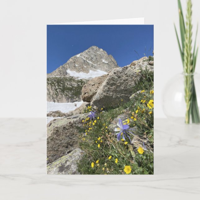Columbine sous la carte Paiute Peak (Devant)