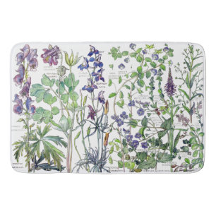 Columbine Speedwell fleurit le tapis de bain