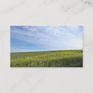 Colza Field - Carte de visite