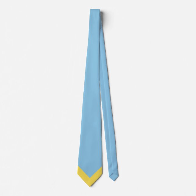 Combat à ressort cravate (Bleu) (Devant)