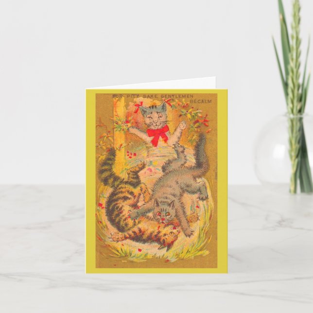 combat de chat (Devant)