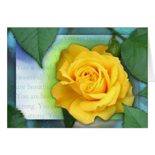 Combattant fort et beau !