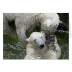 Combattre les ours polaires