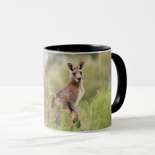 Combo Mug