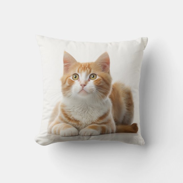 Comfy Coziness : Le Coussin de chat Ginger Lazy (Recto)