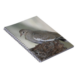 Comfy Dove Carnet