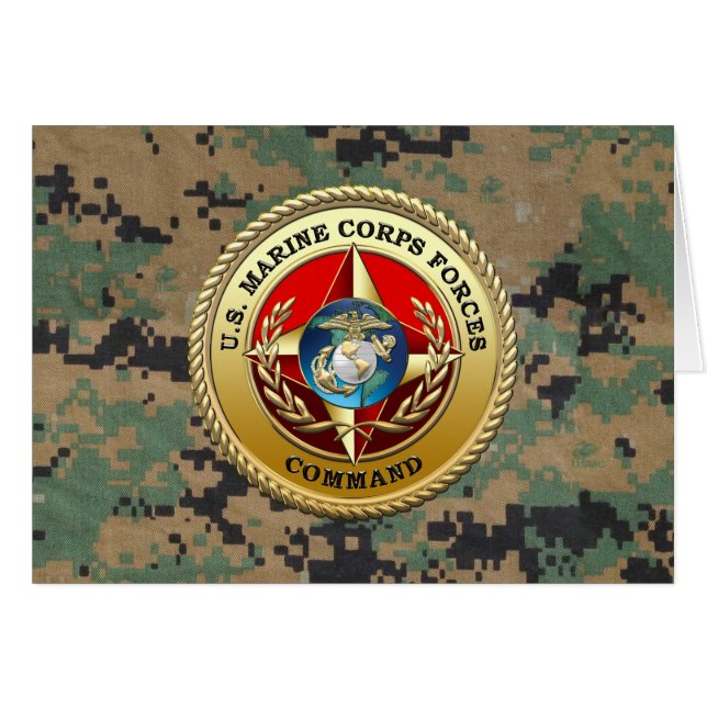 Commandement des forces de la Marine Corps des Éta (Devant horizontal)