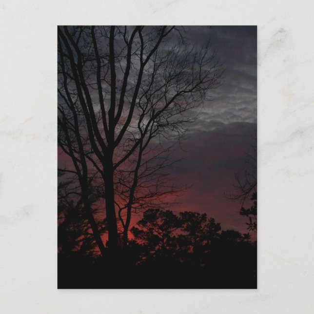 Comme Dark Approches Carte Postale (Devant)