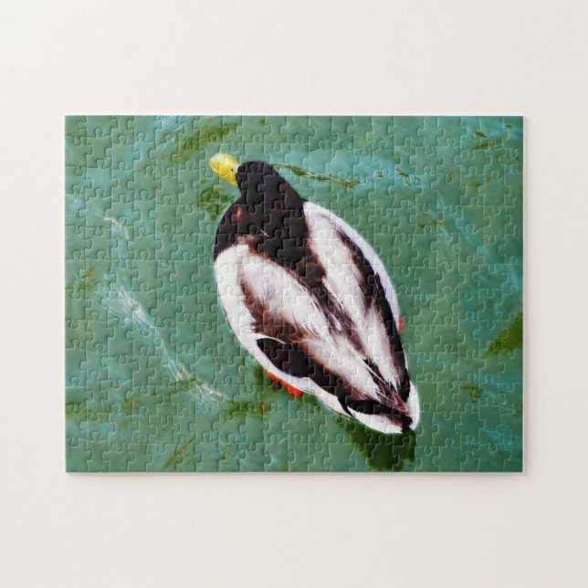 Comme un canard dans l'eau Puzzle de canard sauvag (Horizontal)