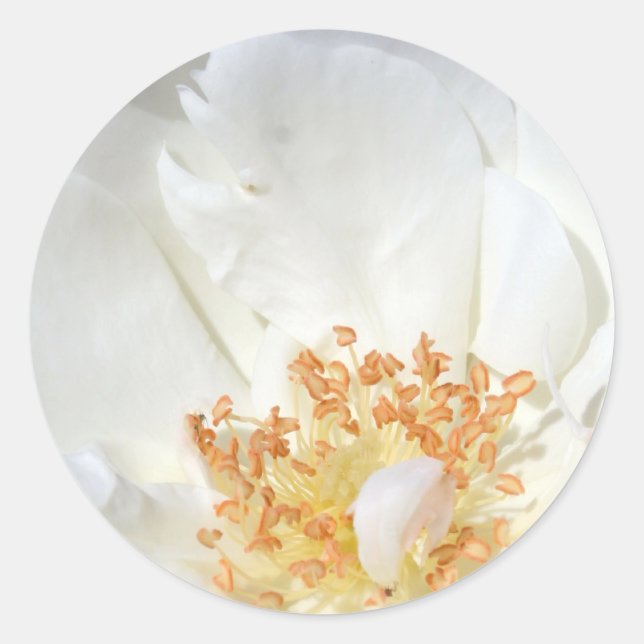 Comme un Sticker 2 rond en plume (Devant)