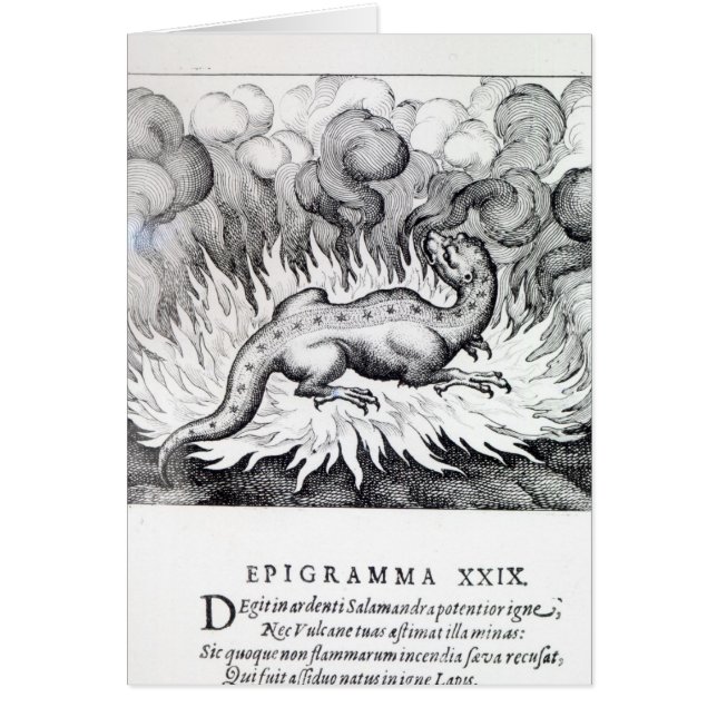 Comme vies de salamandre en feu (Devant)