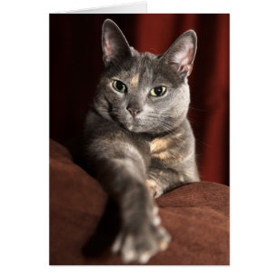 Comment avez-vous été ?