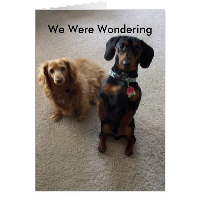 Comment Ça Va ? (Devant)