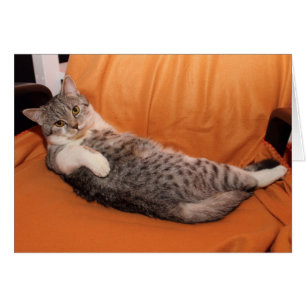 Comment ça va ? Dîner Ready ?