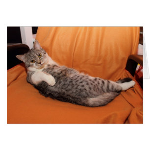 Comment ça va ? Dîner Ready ?