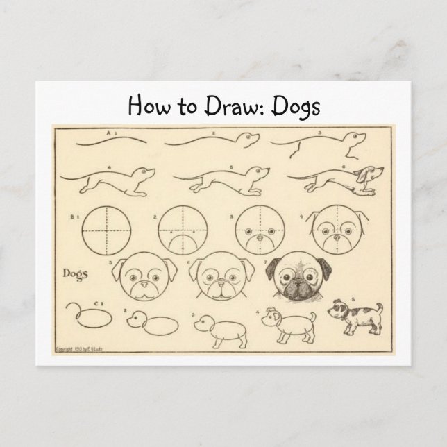 Comment dessiner des chiens Carte Postale Vintage (Devant)