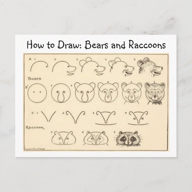 Comment dessiner un ours et un raton laveur carte  (Devant)