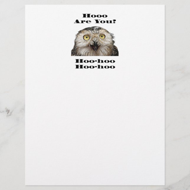 Comment Es-Tu ? Owl Qui Êtes-Vous ? (Devant)