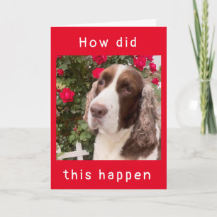 COMMENT EST-CE ARRIVÉ ? ? Carte "HAPPY 12th BIRTHD