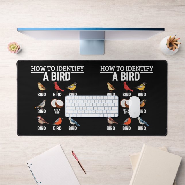 Comment identifier un oiseau Drôle d'observation d (Bureau 1)