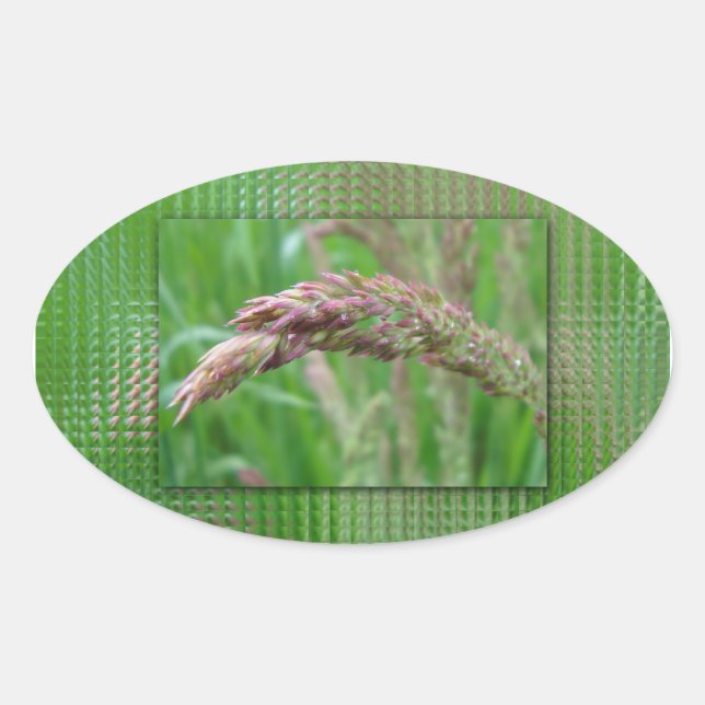 Comment l'herbe pousse des autocollants (Devant)