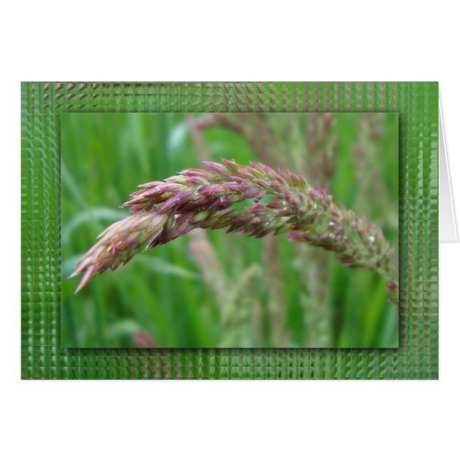 Comment l'herbe pousse la carte (Devant horizontal)