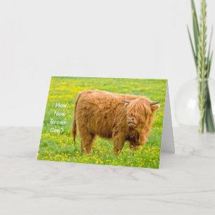 Comment maintenant vache Brown ? Carte