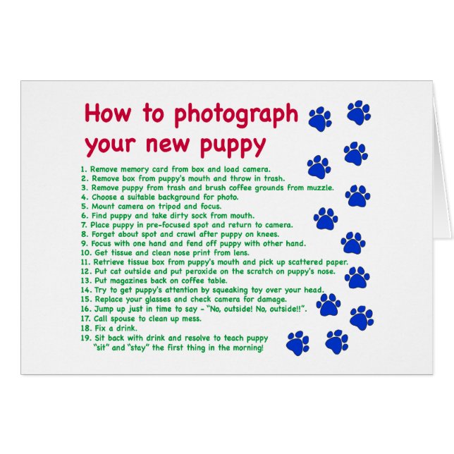 Comment photographier votre nouveau chiot (Devant horizontal)
