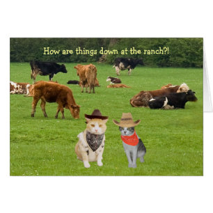 Comment sont les choses en baisse au ranch ? !