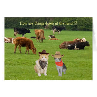 Comment sont les choses en baisse au ranch ? !