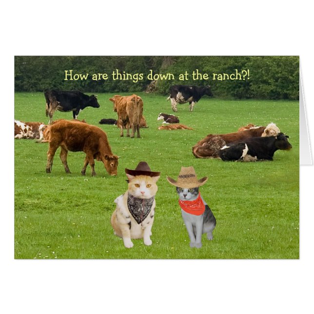 Comment sont les choses en baisse au ranch ? ! (Devant horizontal)