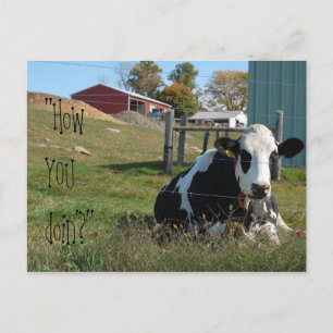 "Comment vas-tu ?" carte postale de vache