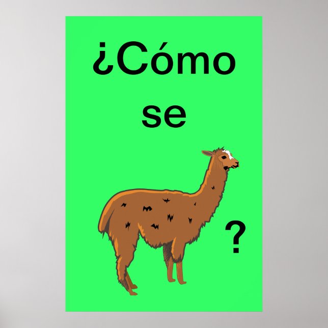 "Cómo se llama" ? Affiche (Devant)