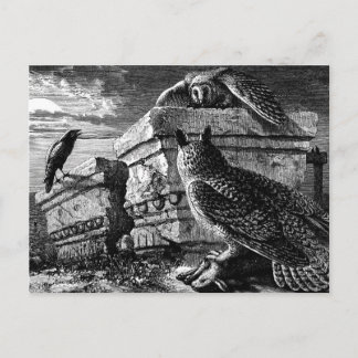 Compagnon aux chouettes carte postale